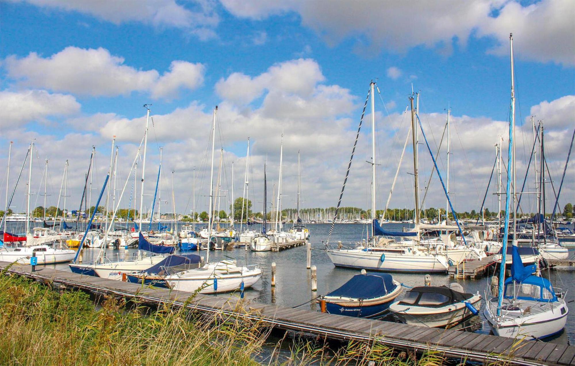 Pet Friendly In With House Sea View