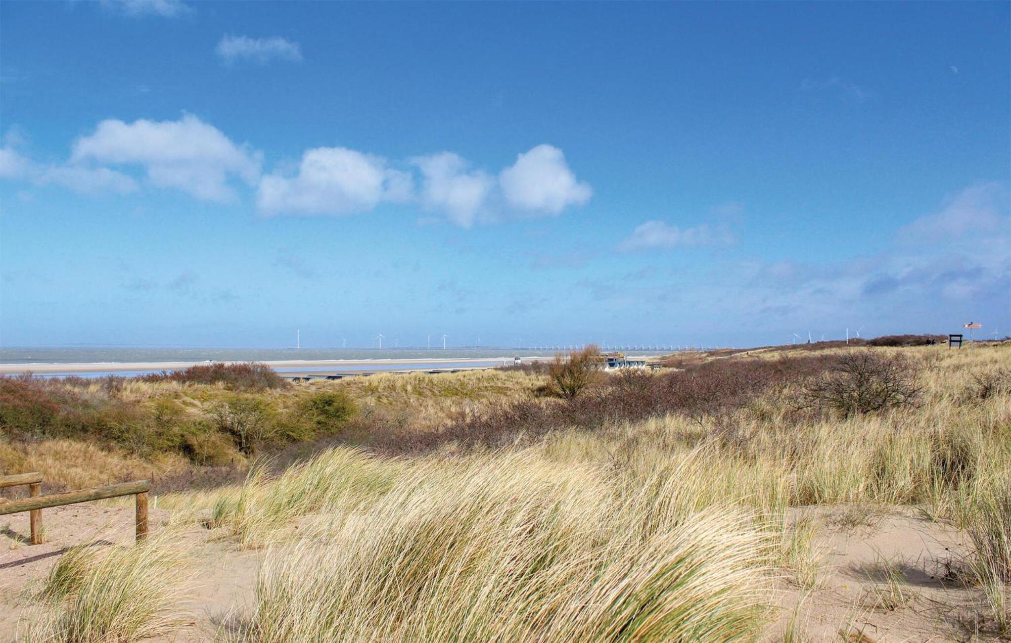 Pet Friendly In With House Sea View